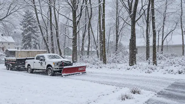 Snowplow trucks beside a snow-covered, tree-lined driveway